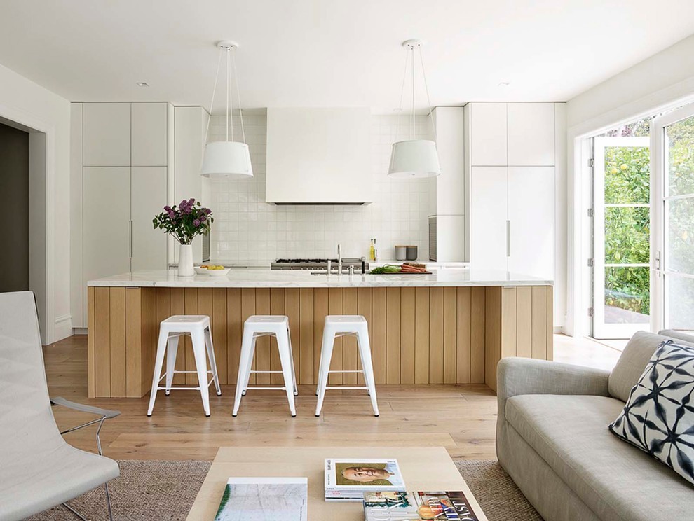 Sunlit Scandinavian Modern Open-Plan Living & Kitchen